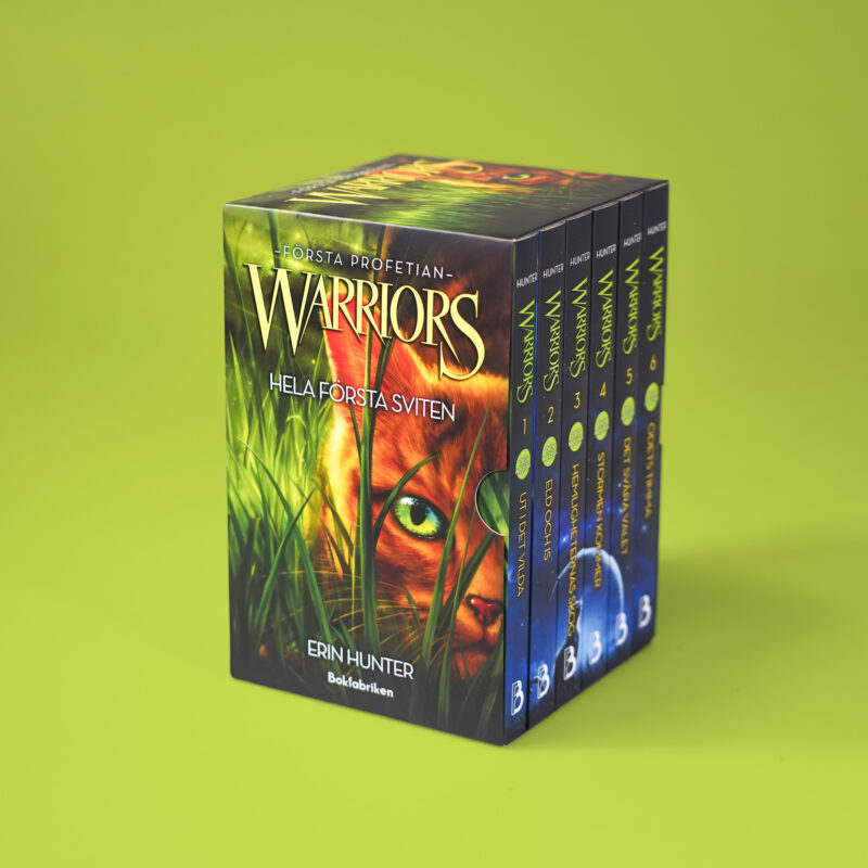 warriors box
