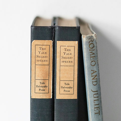 grzbiet książki - miniatura