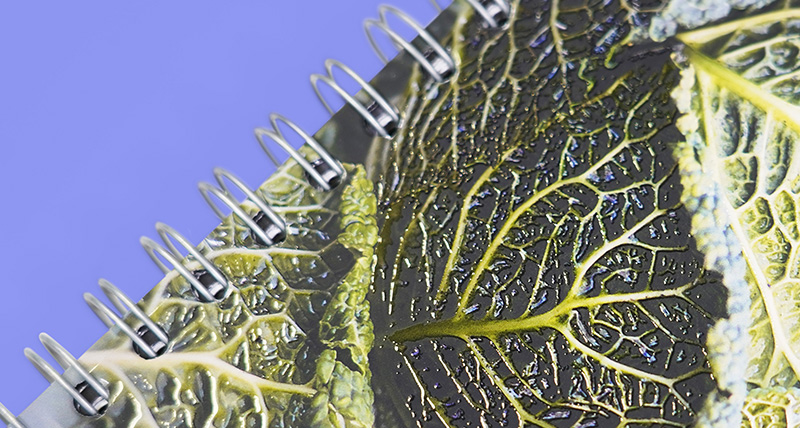 okładka z lakierem 3d - blog